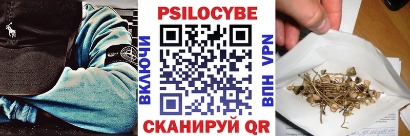 Псилоцибиновые грибы Psilocybe  Малмыж 